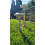 Beton gomba-csiperke-xl