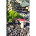 Beton gomba – légyölő galóca – kicsi
