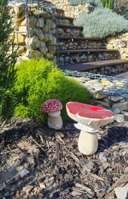 Beton gomba – légyölő galóca – kicsi