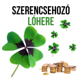 Szerencsehozó lóhere növényem fa kaspóban